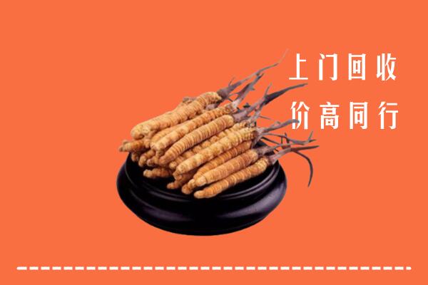 高价求购：宕昌区回收散虫草