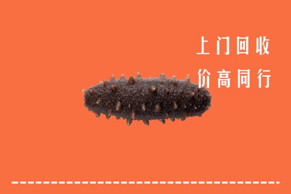 宕昌区回收海参