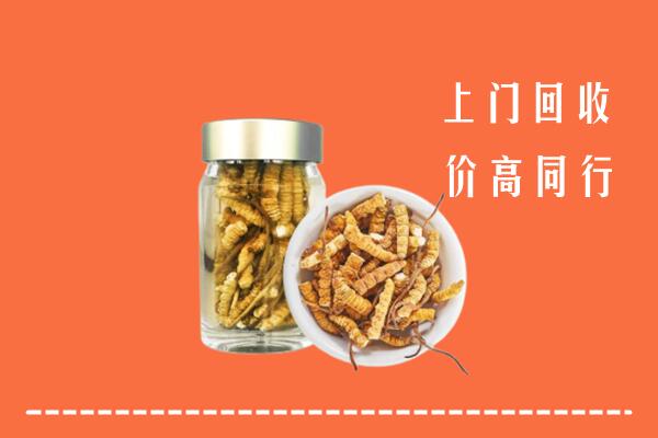 宕昌区回收冬虫夏草