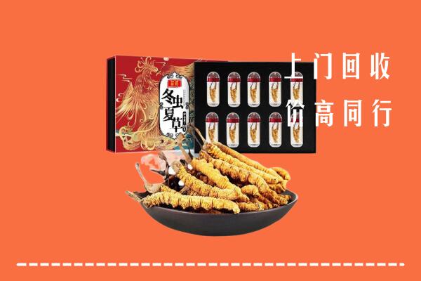 宕昌区回收虫草